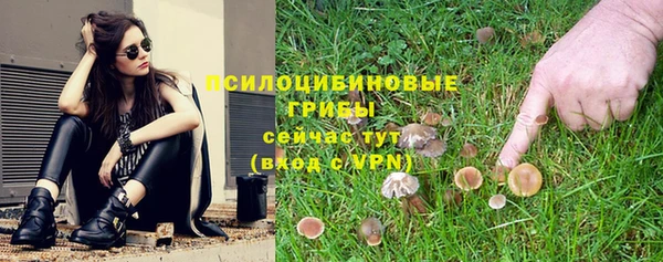 гидра Алексин