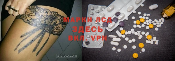 гидра Алексин