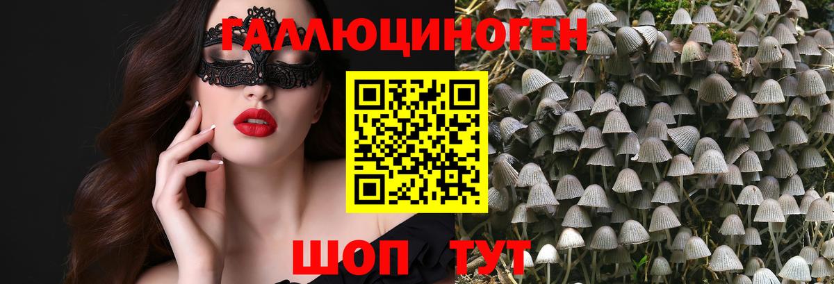 Шумерля  Галлюциногенные грибы Psilocybe  Галлюциногенные грибы мухоморы  Вход с VPN 